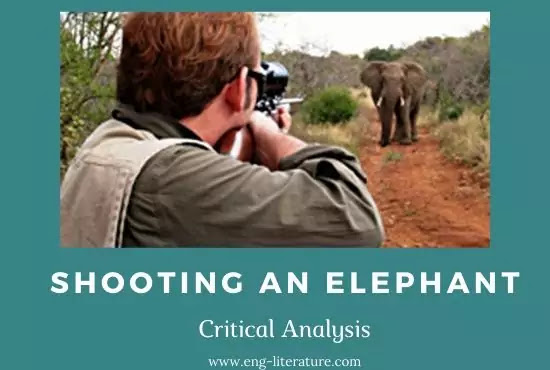 Shooting an Elephant : Critical Analysis or Orwell's View on Imperialism 