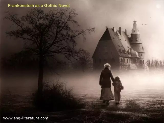 Mary Shelley's Frankenstein as a Gothic Novel