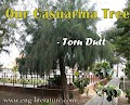 Critical Analysis of Toru Dutt's poem, Our Casuarina Tree or Bring out the Autobiographical, Nostalgic and Spiritual Element in Our Casuarina Tree